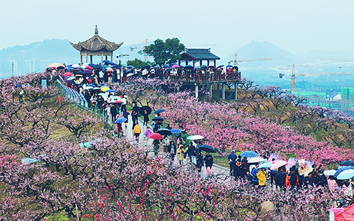 美丽乡村